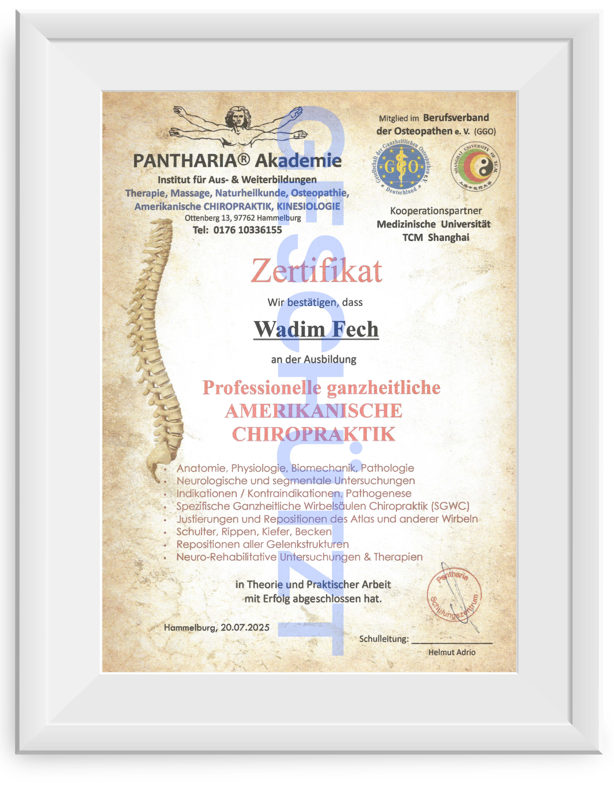 Professionelle ganzheitliche amerikanische Chiropraktik