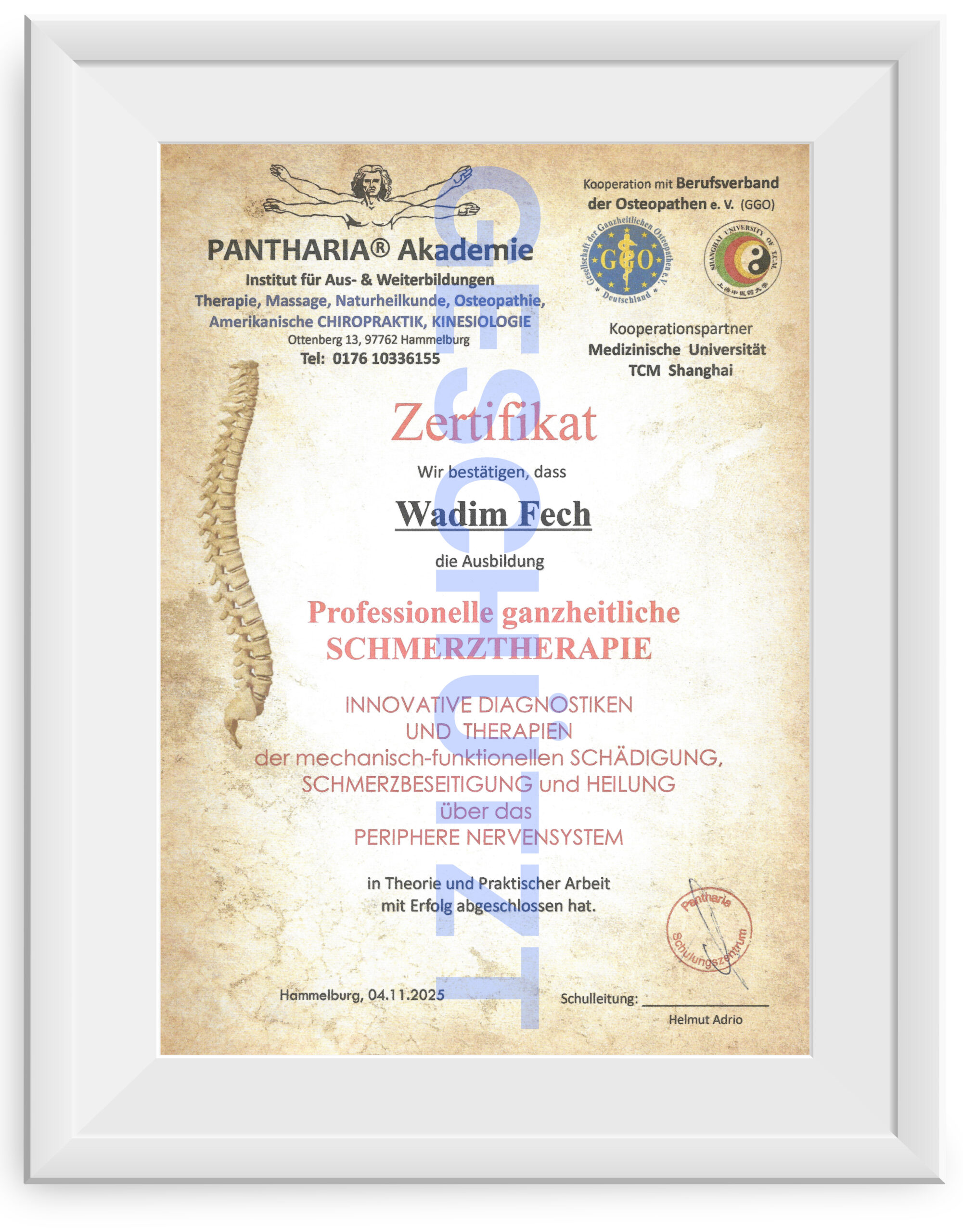 Professionelle ganzheitliche Schmerztherapie